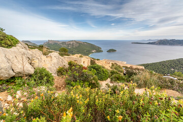 amazing landscape of Formentor, Mallorca in Spain - 767859945