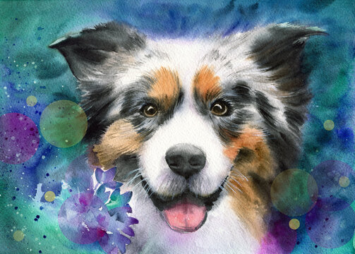 Watercolor illustration of a black and white collie dog in the field bright purple flowers (This illustration was created without the use of artificial intelligence!)