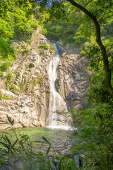 神戸　布引の滝
