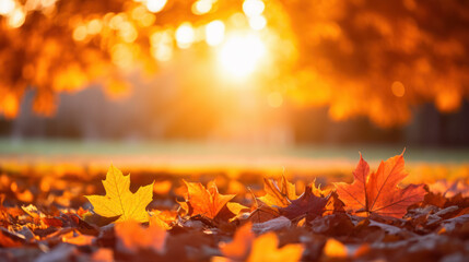 autumn background with maple leaves on the ground