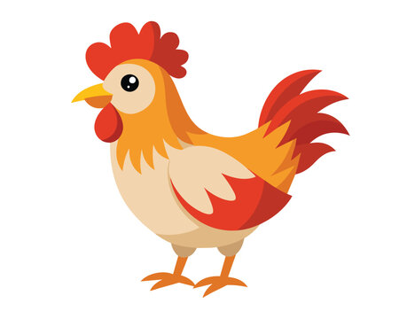 Chicken bird isolated flat vector illustration on white background