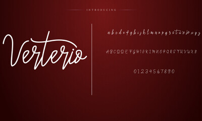 signature Font Calligraphy Logotype Script Brush Font Type Font lettering handwritten