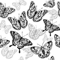 Hand drawn sketch illustration butterflies seamless pattern - 767867365