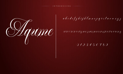 signature Font Calligraphy Logotype Script Brush Font Type Font lettering handwritten