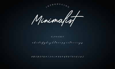 signature Font Calligraphy Logotype Script Brush Font Type Font lettering handwritten