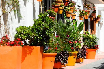 Fototapeta na wymiar Street with pots in in Estepona, Andalusia, Spain, Europe