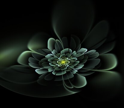 Dark fractal flower, digital artwork for creative graphic design...Fractal pattern in the shape of flowers on a black background.Abstract fractal template.