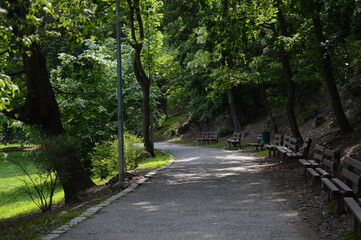 Day in a park