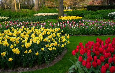 Spring flower park with green grass, trees and blooming flowers - 767877753