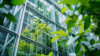 Architecture a modern glass building with a lot of green plants trees and bushes for business architecture environmental friendly, design, exterior, sky, garden