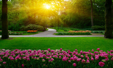 Spring flower park  in the sunlight - 767878703