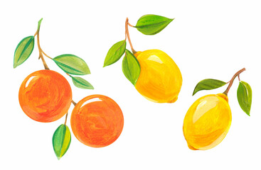 Abstract hand drawn orange and lemon illustrations. Citrus fruit clip art.