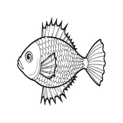 Fish coloring pages. Fishes outline vector for coloring book
