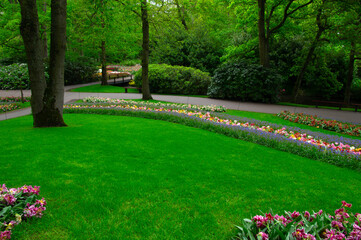 Garden with blooming spring flowers - 767879515