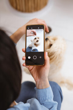 Woman taking picture of dog by cell phone in a candid moment. Feeding puppy maltipoo