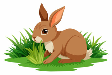 give-the-vector-of-a-rabbit-eating-green-grass.