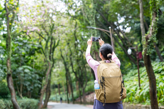 Female tourist photographing with mobile phone in forest