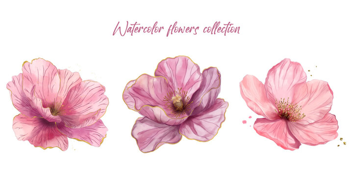 Luxury botanicals collection. Blooming pink flowers hand drawn in watercolor style. Wedding decoration, textile print
