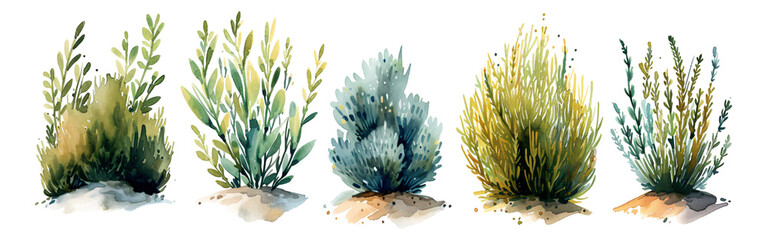 Watercolor style plant elements collection