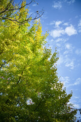 鶴舞公園