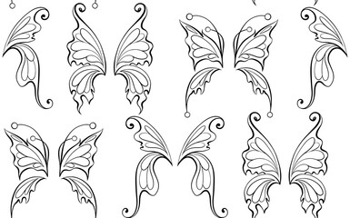 Vector monochrome pattern with tracery contour butterfly wings. Entomology surface design. Texture with black outline fairy wings on a white background. - 767891908