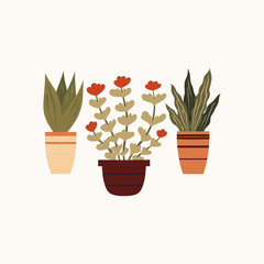 Vector flat hand drawn illustration of home plants and flowers in clay pots. Composition of flowerpots in gentle beige colors. Home hobby and flower shop. - 767892153