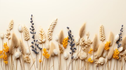 Flat lay flower dried plants for decoration on white background - obrazy, fototapety, plakaty