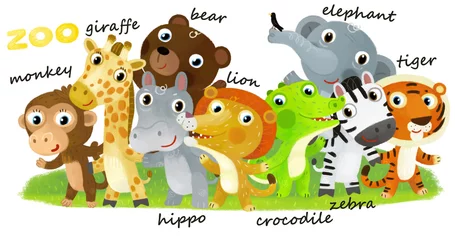 Fensteraufkleber Cartoon zoo scene with zoo animals friends together in amusement park on white background with space for text illustration for children © honeyflavour