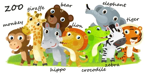 Selbstklebende Fototapeten Cartoon zoo scene with zoo animals friends together in amusement park on white background with space for text illustration for children © honeyflavour