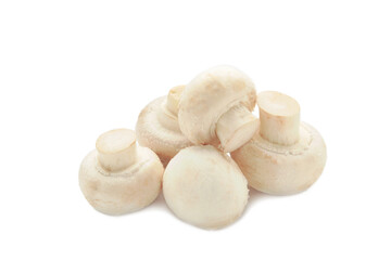 Fresh champignon mushrooms, isolated on white background