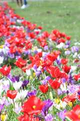 Spring flowers eastern festivities 