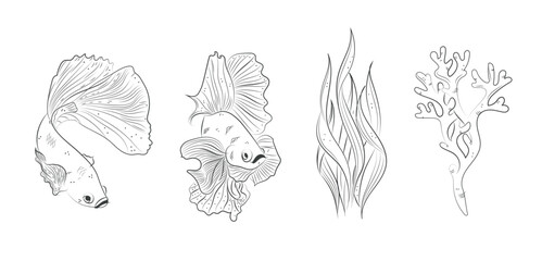 Fish and sea element vector