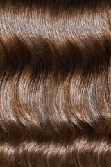 A closeup view of a bunch of shiny brown hair in a wavy curved style.