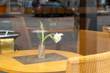 a white flower on a table in an empty restaurant