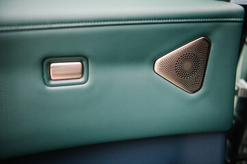 Speaker in door car. Button open door new modern sedan automobile closeup. Gold luxury button in...