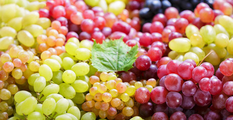 mix of colorful grape as background - 767909785
