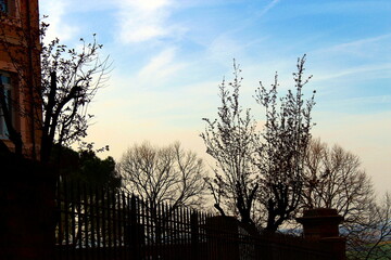 Trees Silhouette in the Blue Sky with Yellow Sunset in Macerata, Italy