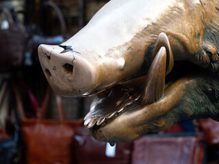 Detail of Hand touching good luck copper pig statue in Florence rite of fortune you have to rub a coin on the nose of wild boar and then drop it into the manhole cover of the porcellino fountain