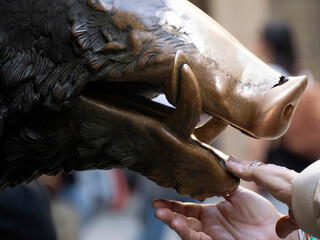 Detail of Hand touching good luck copper pig statue in Florence rite of fortune you have to rub a coin on the nose of wild boar and then drop it into the manhole cover of the porcellino fountain