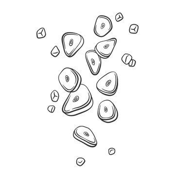 sliced garlic cloves black and white clip art preview