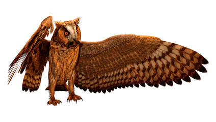 3D Rendering Eagle Owl on White