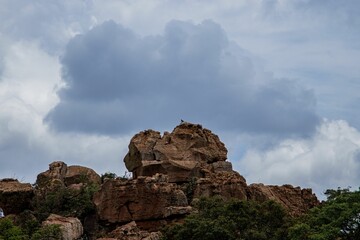 Landscape of a grassy hill surrounded by rocks and small bushes