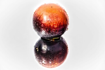 Isolated red cherry plum with water droplets on a reflective surface