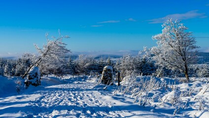 The mountains of Dublin during winter.