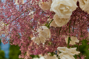 Delicate pink gypsophila and white roses against a soft-focus background.Themes of love and delicate beauty.