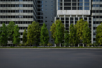 Realistic roadside with bush and tree. 3d rendering of landscaped with city background.