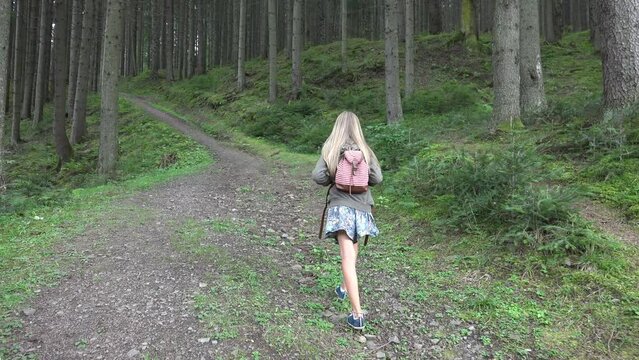 Child Walking Mountain Trail in Camping, Kid Hiking, Girl in Forest Adventure