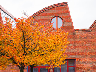Red Brick Building With Tree in Front