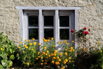 Fototapeta na wymiar Window of a rural house adorned with colorful flowers