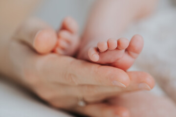 Obraz na płótnie Canvas Newborn baby feet in parents hands 